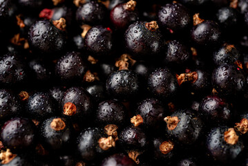 Blackcurrant with water drops. Close-up with many small details. Wallpaper, great background.
