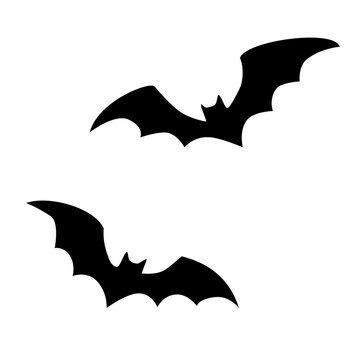 Fototapeta Large flock of bats on a white background.