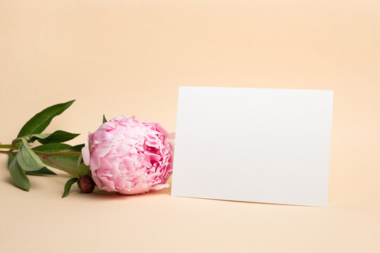 Blank invitation card mockup with pibk peony flower, card with copy space