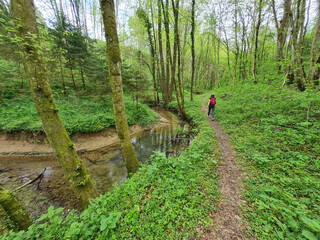 Winding stream and path through a forrest with girl hiker