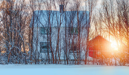 Beautiful traditional Norwegian house a row of dry trees on the snow-covered forecourt - obrazy, fototapety, plakaty