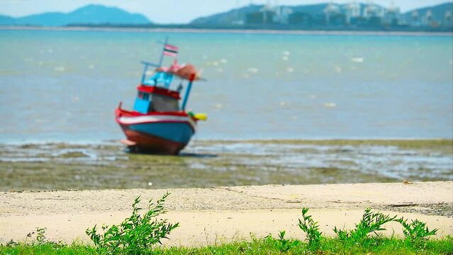Focus to foreground grass with plants and blur fishing boat on the sea