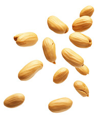 Obraz premium Falling peanuts isolated on transparent or white background, png