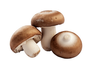 Three brown champignons or portobello mushrooms isolated on transparent or white background, png