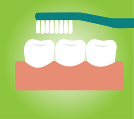 Toothbrush cleaning teeth. Medically accurate 2D illustration of oral hygiene.