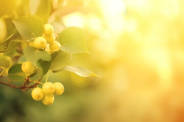 yellow flower background made by midjeorney