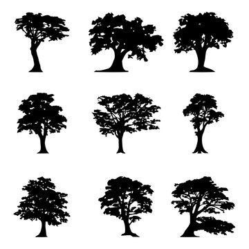 Tree silhouette Bundle, Black tree Forest  vector