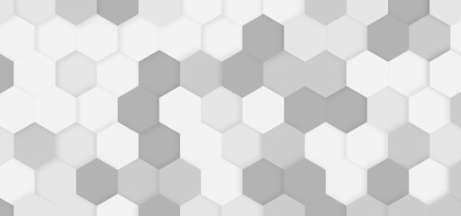 Obraz na płótnie Canvas Abstract white and gray color shade embossed Hexagonal honeycomb pattern background with space for text. Abstract Technology, Futuristic Digital Hi-Tech Concept. Luxury white pattern