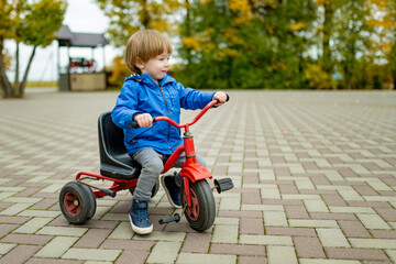 Adorable toddler boy riding his scooter in a city on sunny autumn evening. Young child riding a roller.