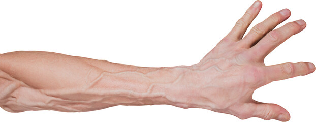 The hand of a man with large veins