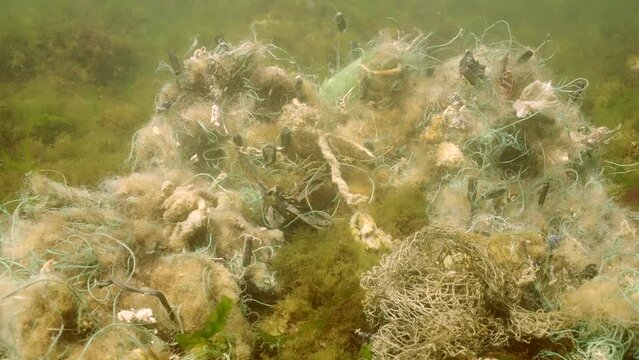 Closeup, Lost fishing net lies on seabed in green algae Ulva on bright sunny day in sun glare in Black sea, Ghost gear pollution of Seas and Ocean, Slow motion 