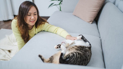 Cat lover female hand petting her lovely cat  comfortable Stay home with cat Friendship Animal lover. Cute cat. love Friend human home friendship Animal lover lifestyle concept