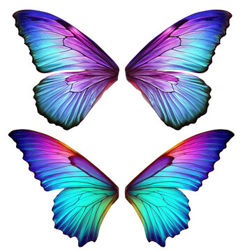colorful iridescent butterfly elf fantasy fairy wings on transparent background