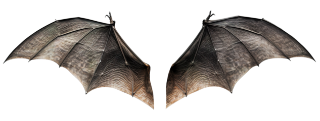 spread bat vampire wings on transparent background