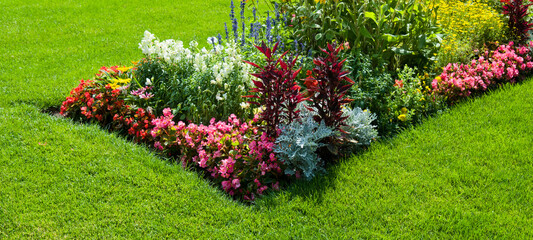 Bright flowerbed in the city garden. Wide photo. - obrazy, fototapety, plakaty