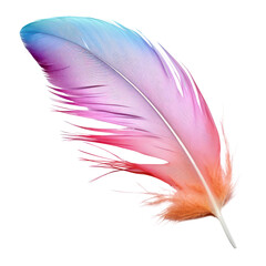 pastel feather isolated on transparent background cutout