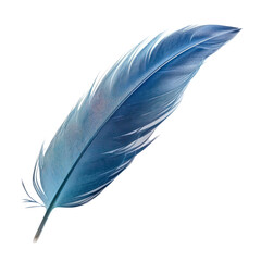 blue feather isolated on transparent background cutout