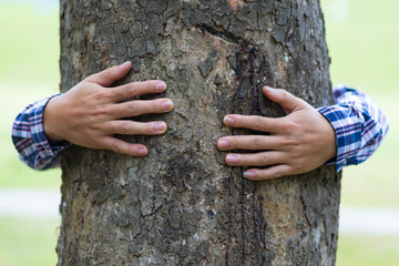Male hand hugging a tree, concept of conservation of natural resources.