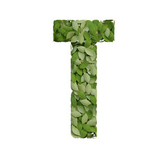 Leafs or Floral 3D Alphabet or PNG Letters