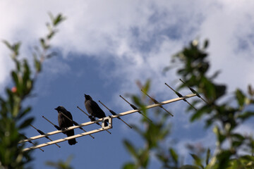 Gemeinsamkeit beim Fernsehen