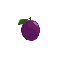 Plum with green leaf. Vector illustration.