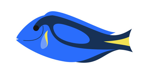 Marine Animals Illustration. Inhabitants of sea, ocean underwater life. Cute ocean animals vector set. Sea creatures cartoon characters, marine life clip art collection.