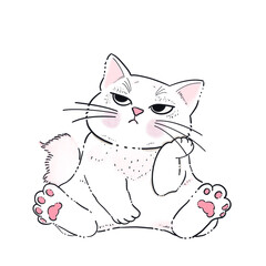 cat pink