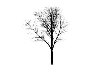Tree silhouette botanic artwork seasonal wood shape art