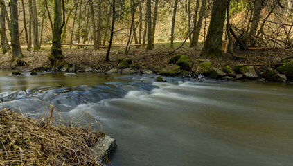 cascades on small river in the forest