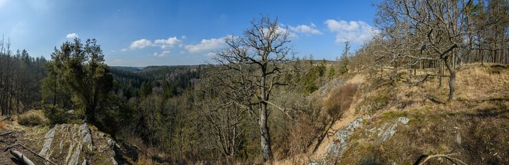Fototapeta na wymiar panorama view from rock cliff in the forest