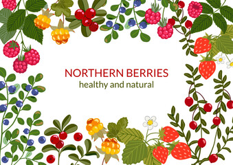 Northern berries frame. Vector horizontal background with lingonberry, cranberry, bilberry, cloudberry, raspberry and wild strawberry. Wild forest summer fruits with branches and leaves illustration