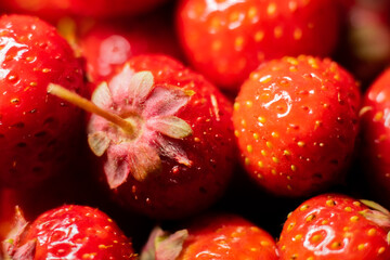 Wild strawberries in a pile. Juicy strawberries picked by hand
