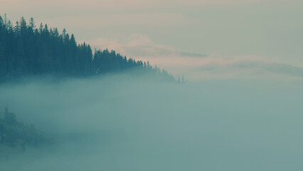 Carpathian mountains with fog at sunrise