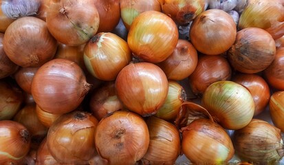 Onions close up isolated