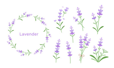 Lavender vector flat illustration set