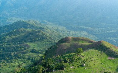 On a beautiful day in the spring, a stunning panoramic view of a rural area with cows grazing in lush green meadows close to mountain summits is visible.