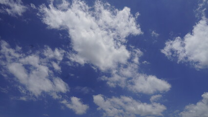 Nature, Clouds, Trees, Flowers
