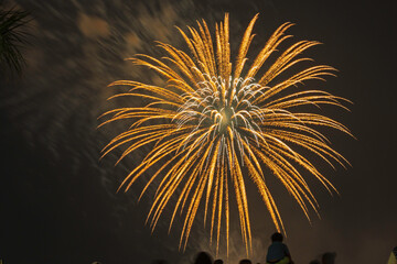 Fireworks display celebration Fourth of July holiday.