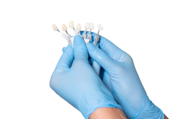 Doctor hands in medical sterile gloves hold shade guide bleach color, female veneer smile, dental care and stomatology, dentistry png isolated over white background