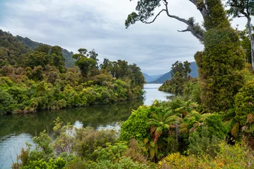 Foto op Plexiglas Moeraki River at West Coast of South Island New Zealand © Dmitry Naumov