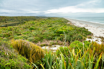 Tauparikaka Marine Reserve South Island New Zealand
