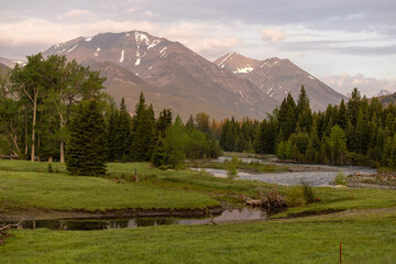 Montana Mountain ranch horses