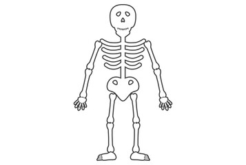 Spooky skeleton character Halloween death bones skeletal body design element