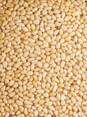 Pine nuts close-up in full screen. Surface made of peeled pine nut kernels.