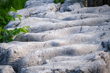 Limestone pavements skraplje under Sinji vrh in Slovenia