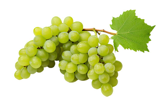 Fresh, succulent, and sweet green grapes in a cluster, separated from their stems, against a plain transparent background.