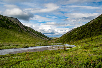 Savage River, Denali National Park, Alaska,