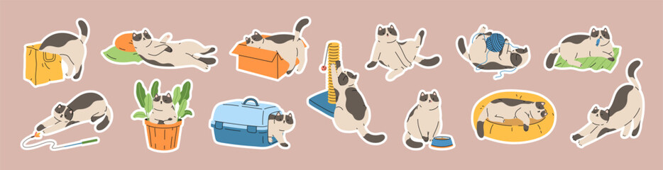 Set of stickers with cute cats. Hand drawn collection badges with pet kittens home life.