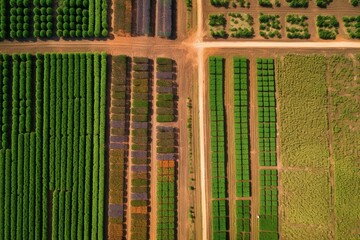 Overhead view of diverse crop rows in rural area for sustainable agriculture. Generative AI