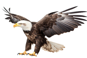 Bald eagle flying isolated on white, transparent background, PNG